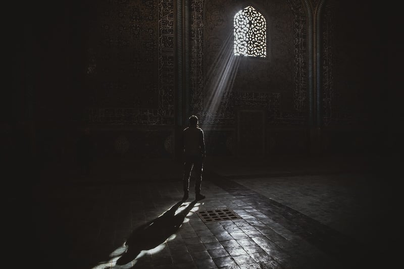 Traveler